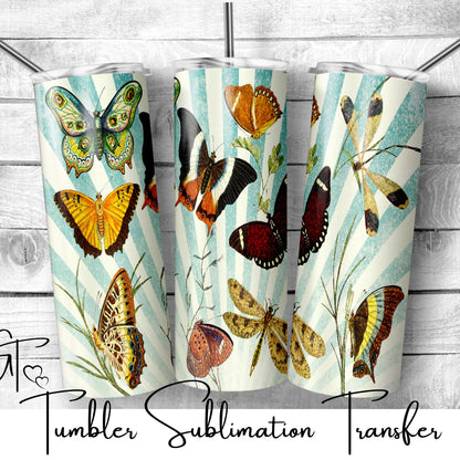 SUB925 Butterfly Collector Rustic Tumbler Sublimation Transfer