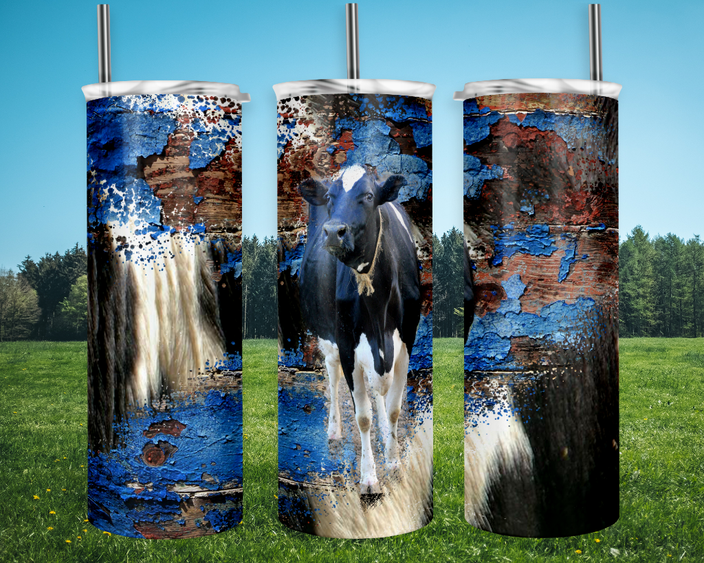 Blue Painted Rustic Fence with Hereford Tumbler