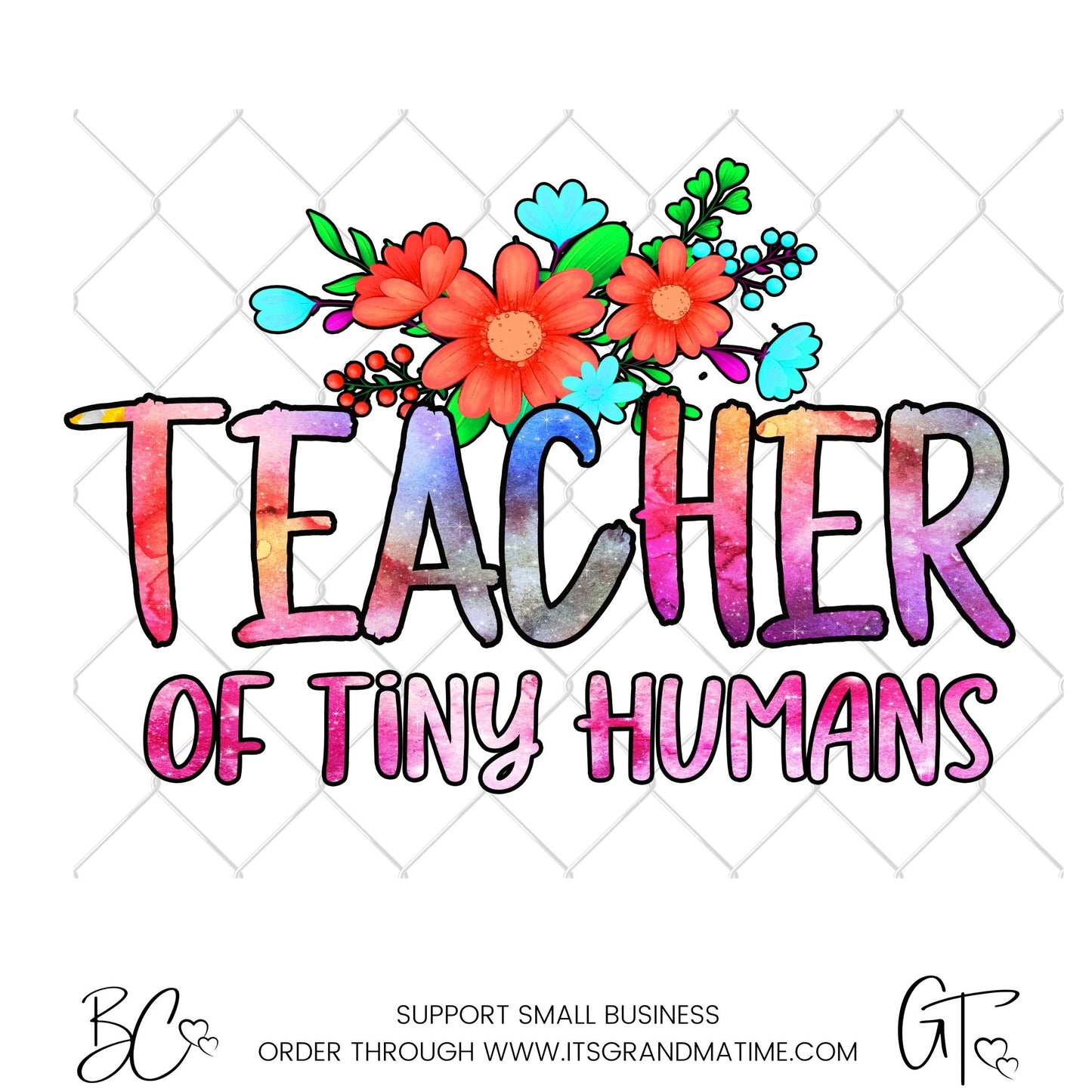 SUB590 Teacher of Tiny Humans School Teacher Transfer